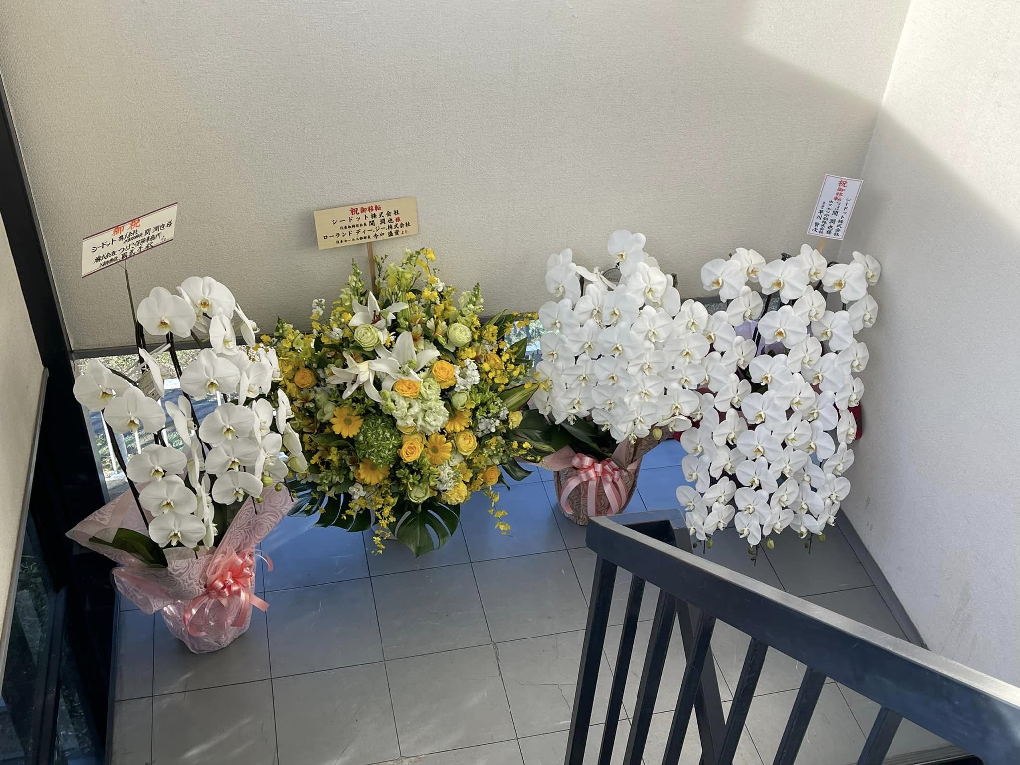 玄関正面の階段のお花が、ご来社のお出迎えをいたします。